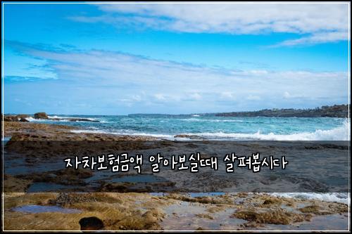 자차보험금액 알아보실때 살펴봅시다