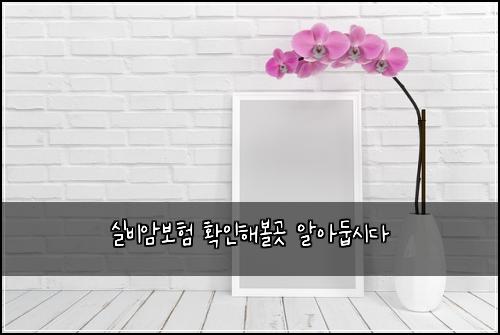 ์ค๋น์๋ณดํ ํ์ธํด๋ณผ๊ณณ ์์๋ก์๋ค