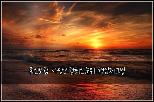 ์ข
์ ๋ณดํ ์ฌ๋ง๋ณดํ์ต์ ์์ ํต์ฌ์ฒดํฌ๋ฒ