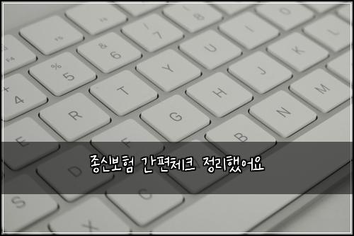 종신보험 간편체크  정리했어요