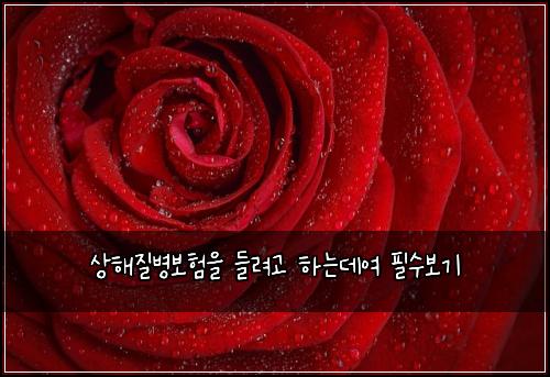 상해질병보험을 들려고 하는데여 필수보기