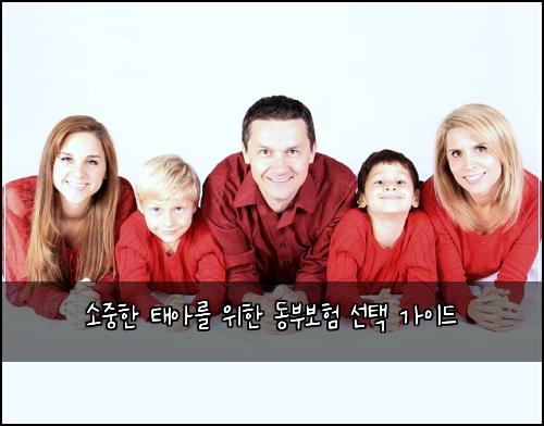 소중한 태아를 위한 동부보험 선택 가이드