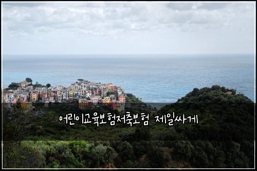 어린이교육보험저축보험 제일싸게