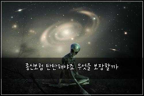 종신보험 탄탄해야죠  무엇을 보장할까