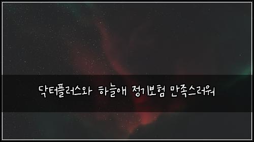 닥터플러스와 하늘애 정기보험 만족스러워 
