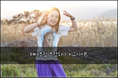 태아보험 보장되나  비교사이트 