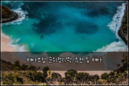 태아보험 순위정리쫙  추천 및 태아