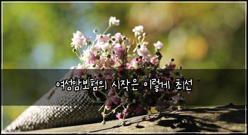 여성암보험의 시작은 이렇게 최선