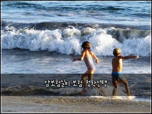암보험실비 보험 정확선택