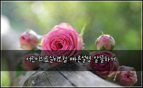 어린이의료실비보험 빠른설명  알뜰하게