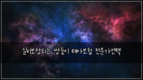 실비보장되는 쌍둥이 태아보험 전문가선택 