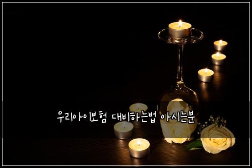 ์ฐ๋ฆฌ์์ด๋ณดํ ๋๋นํ๋๋ฒ ์์๋๋ถ