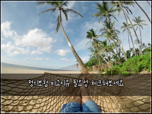 ์ ๊ธฐ๋ณดํ ๋น๊ต์ด์ ํ์์ฑ ์ฒดํฌํด๋ณด์ธ์