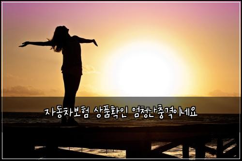 자동차보험 상품확인  엄청난충격이네요