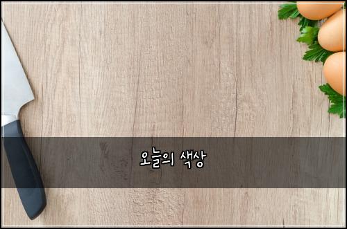 오늘의 색상