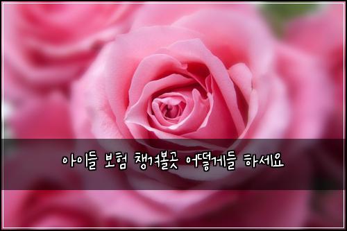 아이들 보험 챙겨볼곳  어떻게들 하세요