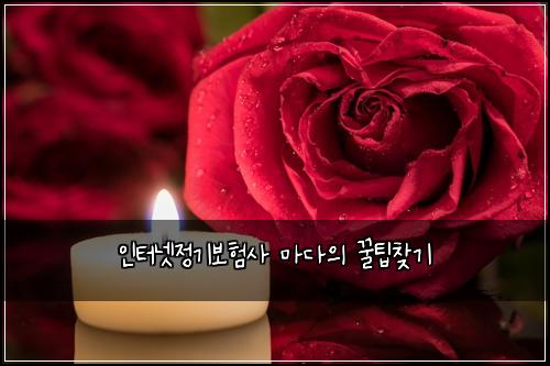 인터넷정기보험사 마다의 꿀팁찾기