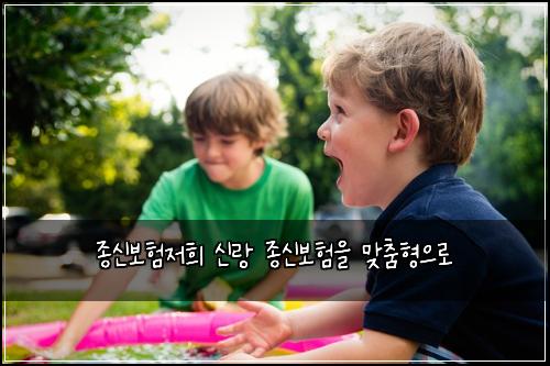 종신보험저희 신랑 종신보험을 맞춤형으로