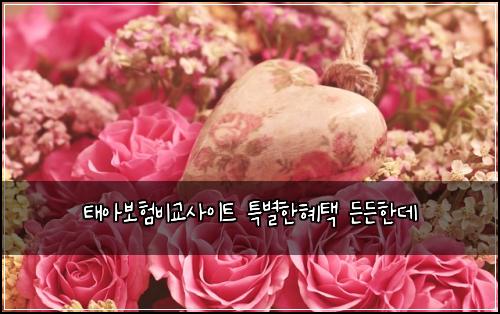 태아보험비교사이트 특별한혜택 든든한데