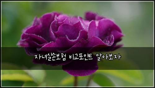 ์๋
์ค์๋ณดํ ๋น๊ตํฌ์ธํธ ์์๋ณด์