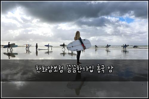 한화암보험 꼼꼼한가입  흥국 암