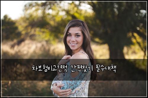 차보험비교견적 간편찾기 필수대책