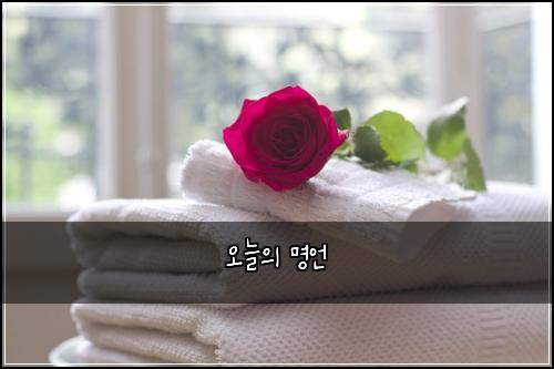 오늘의 명언