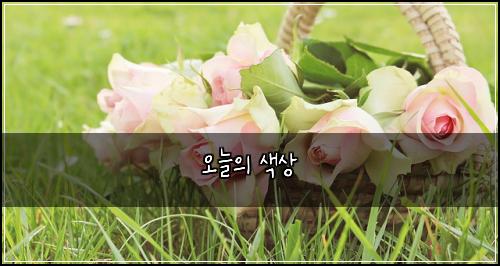 오늘의 색상
