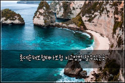 롯데손해보험태아보험 비교방법 할수있는곳