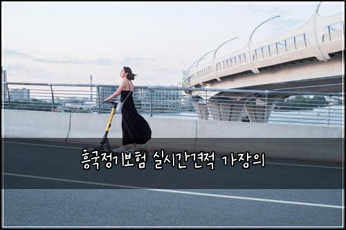 흥국정기보험 실시간견적  가장의