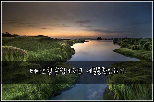 태아보험 손쉽게체크  메일용확인하기