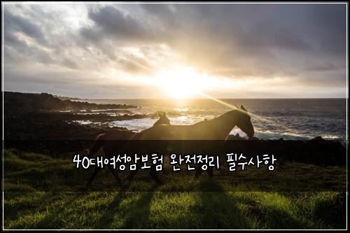 40λμ¬μ±μ보ν μμ μ 리 νμμ¬ν
