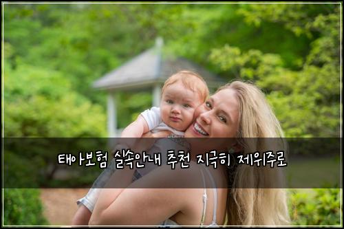 태아보험 실속안내  추천 지극히 제위주로