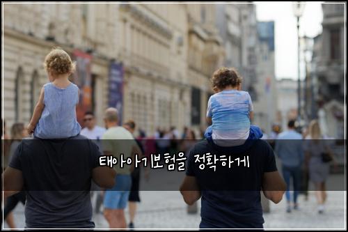 태아아기보험을 정확하게