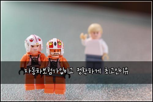 ์๋์ฐจ๋ณดํ๊ฐ์
๋น๊ต ์ ํํ๊ฒ ์ต๊ณ ์ธ์ด์