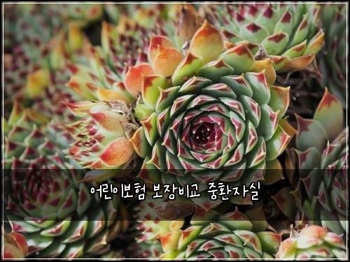 어린이보험 보장비교  중환자실