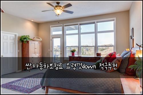 싼자동차보험료 요령껏down 적극추천