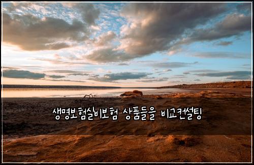์๋ช
๋ณดํ์ค๋น๋ณดํ ์ํ๋ค์ ๋น๊ต์ปจ์คํ