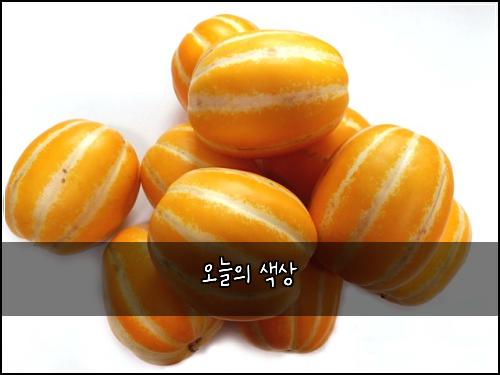 오늘의 색상