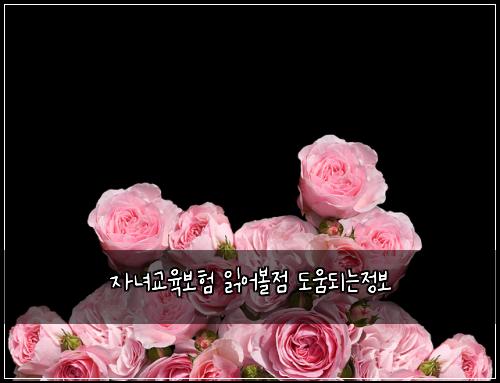 자녀교육보험 읽어볼점  도움되는정보