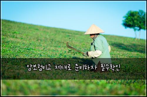 암보험비교 제대로 준비하자 필수확인