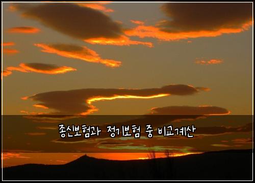 종신보험과 정기보험 중 비교계산