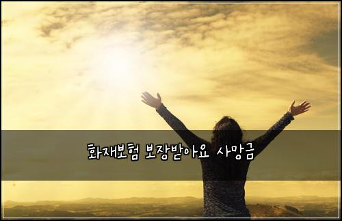 화재보험 보장받아요  사망금