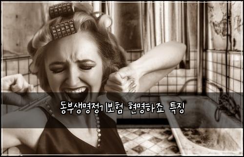 동부생명정기보험 현명하죠  특징