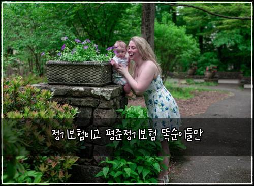 정기보험비교 평준정기보험 똑순이들만