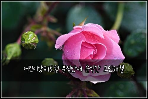 어린이상해보험 분석안내  순식간 고민해결