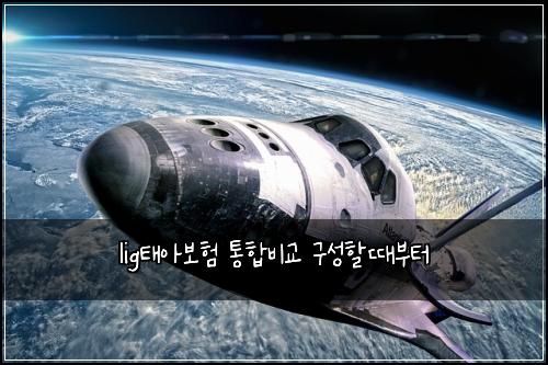 lig태아보험 통합비교  구성할때부터