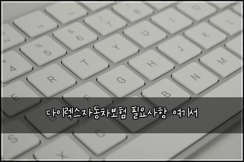 다이렉스자동차보험 필요사항  여기서