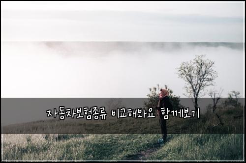 μλ차보νμ’
λ₯ λΉκ΅ν΄λ΄μ ν¨κ»λ³΄κΈ°