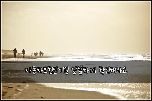 자동차보험만기일 알뜰하게 확인해봐요